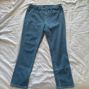 Uniqlo Cropped Jeggings in Light Denim
